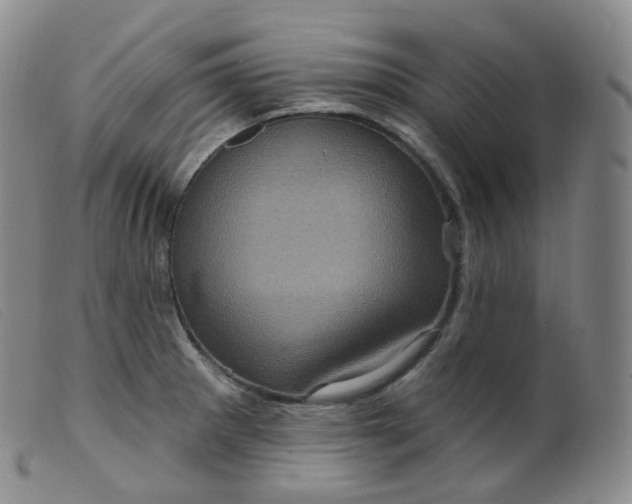 X0000099381281200805221757