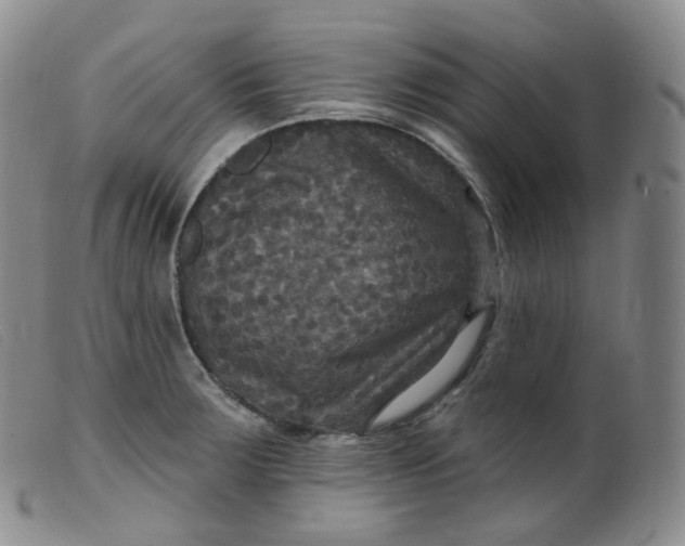 X0000099381283200805221757