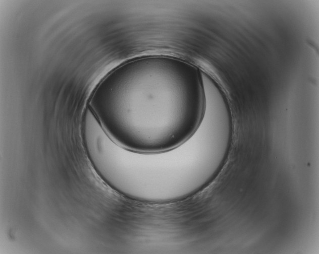 X0000099381284200805221757