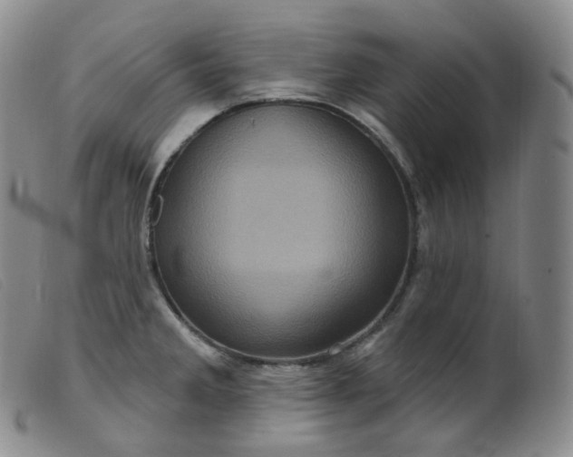 X0000099381285200805221757