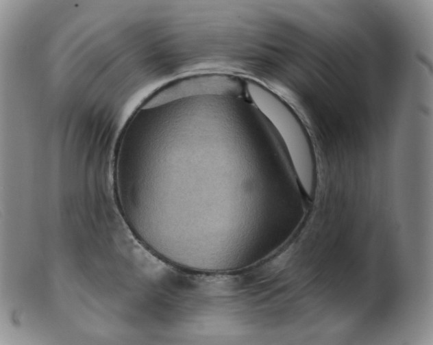 X0000099381288200805221757