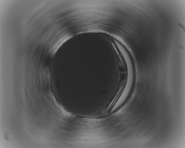 X0000099381289200805221757