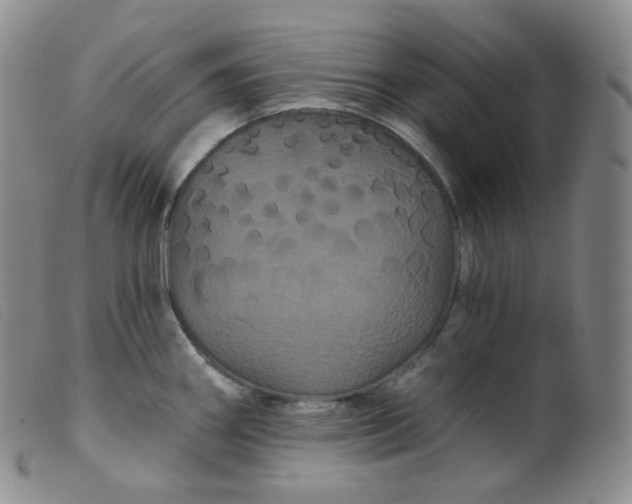 X0000099381290200805221757