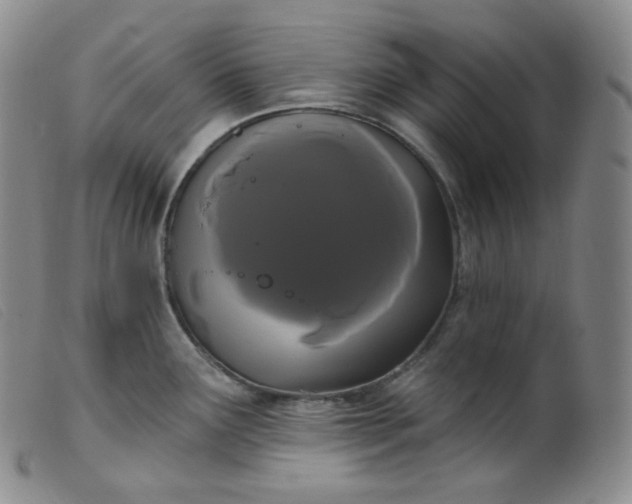 X0000099381291200805221757