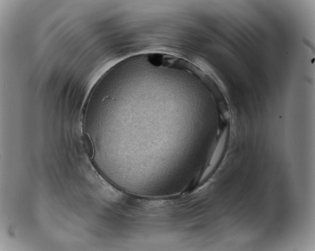 X0000099381292200805221757