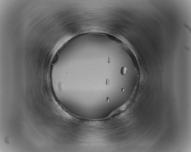 X0000099381293200805221757