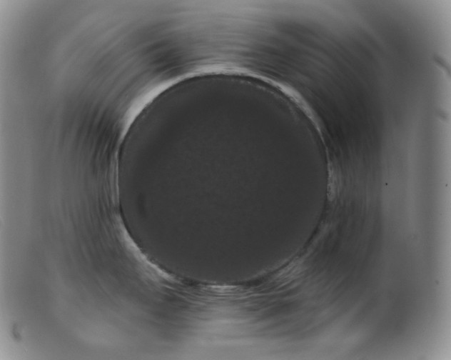 X0000099381295200805221757