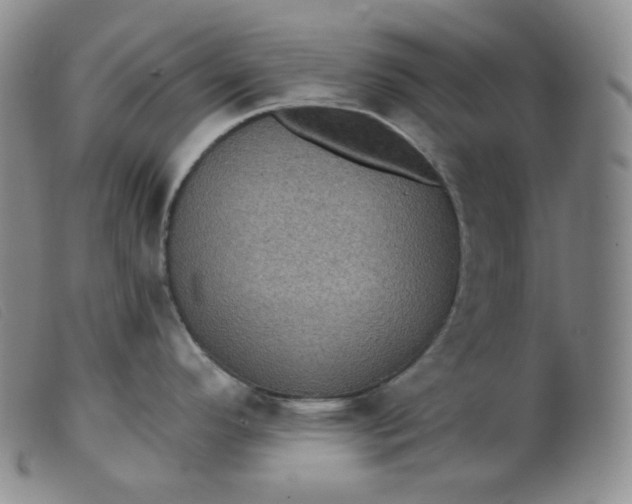 X0000099381296200805221757