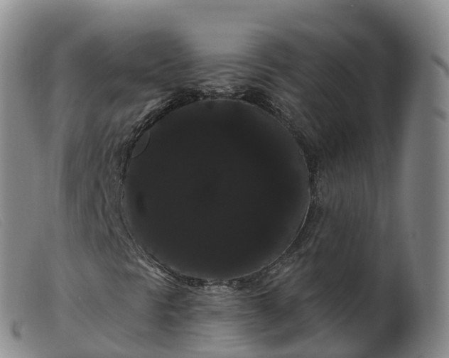 X0000099381297200805221756