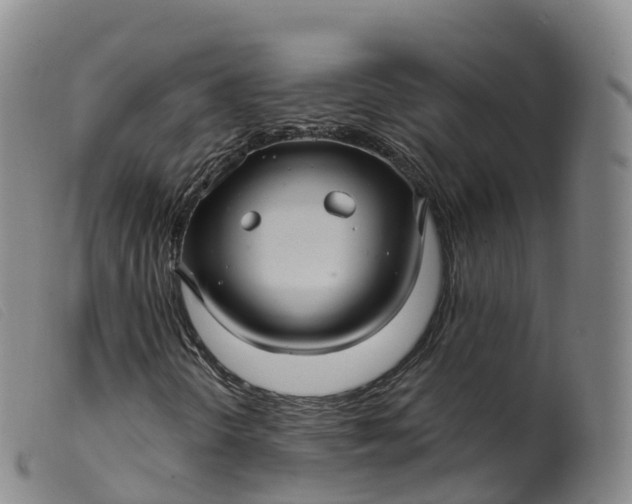 X0000099381298200805221756