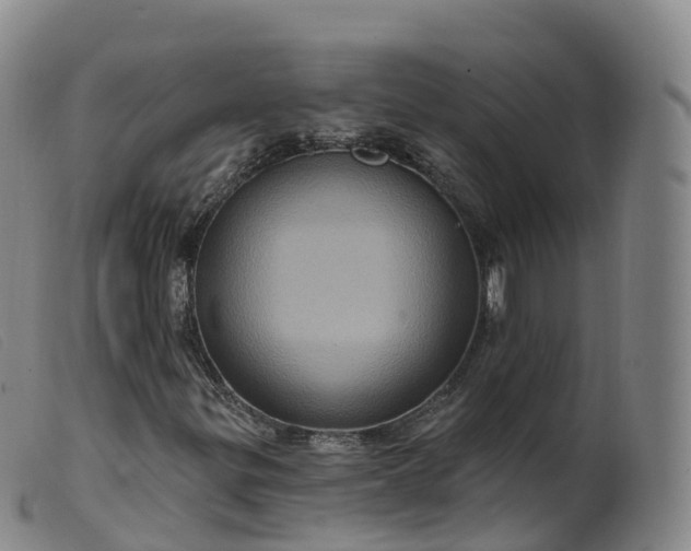 X0000099381299200805221756