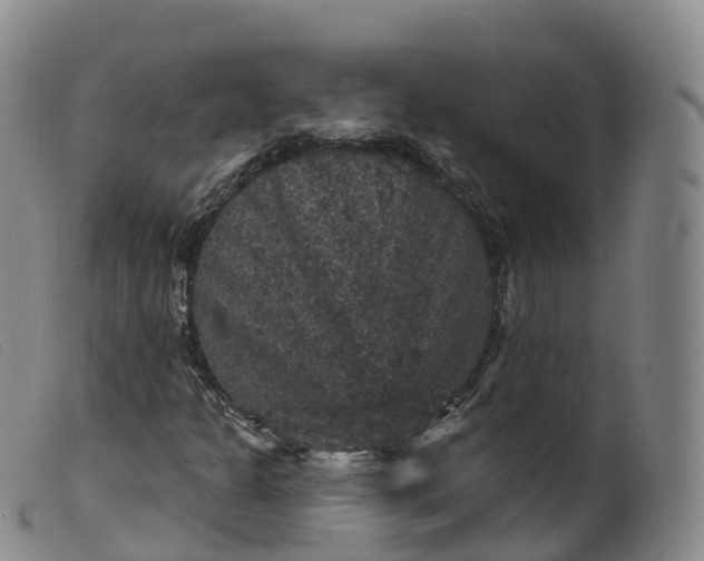 X0000099381301200805221756