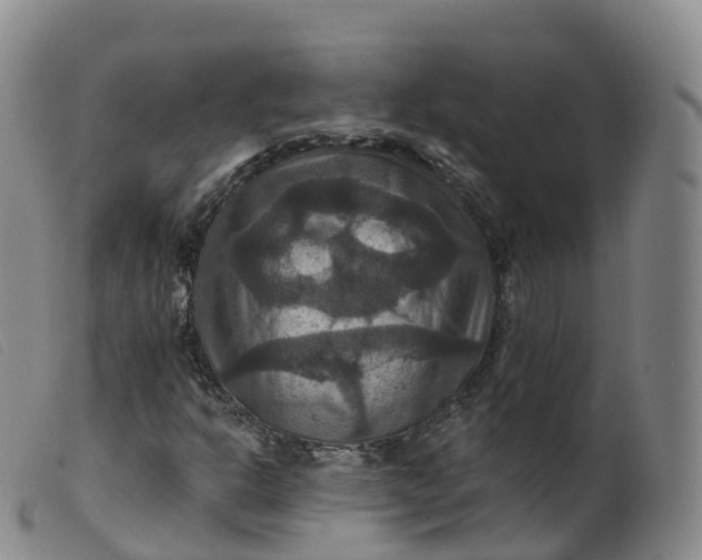 X0000099381302200805221756