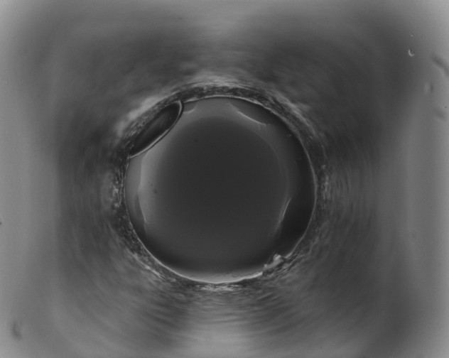 X0000099381303200805221756