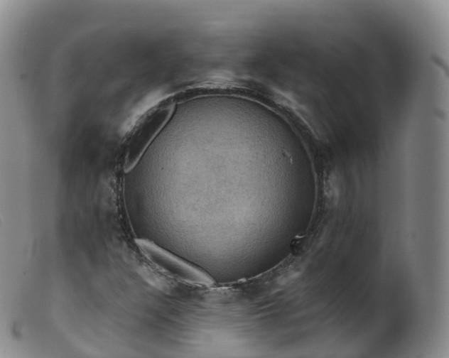 X0000099381304200805221756