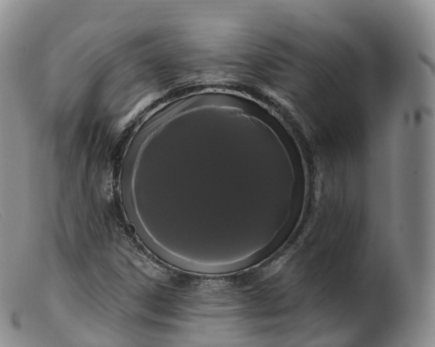 X0000099381306200805221756