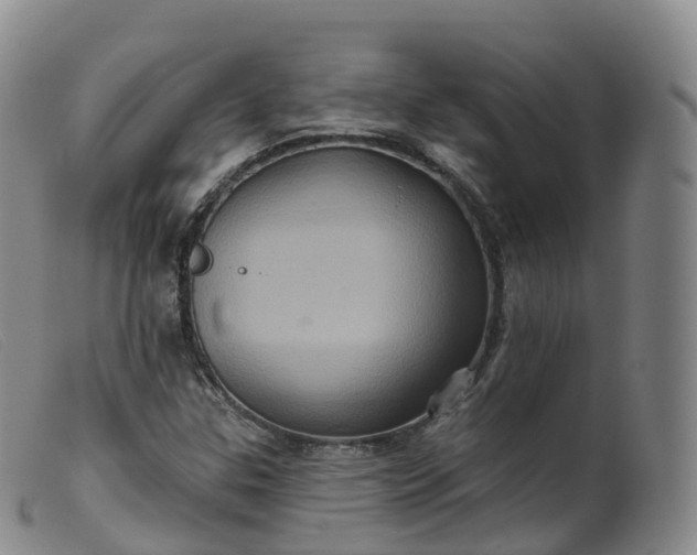 X0000099381307200805221756