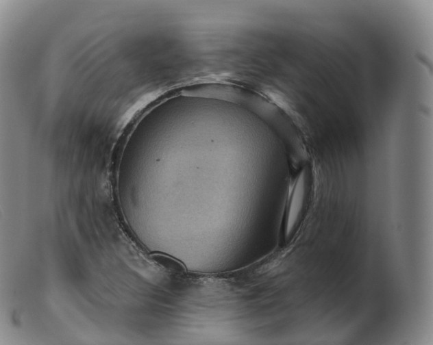 X0000099381308200805221756