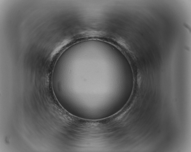 X0000099381309200805221756