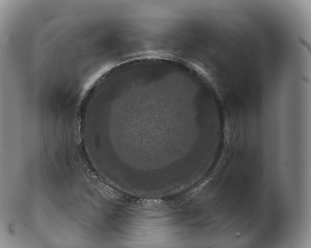 X0000099381310200805221756