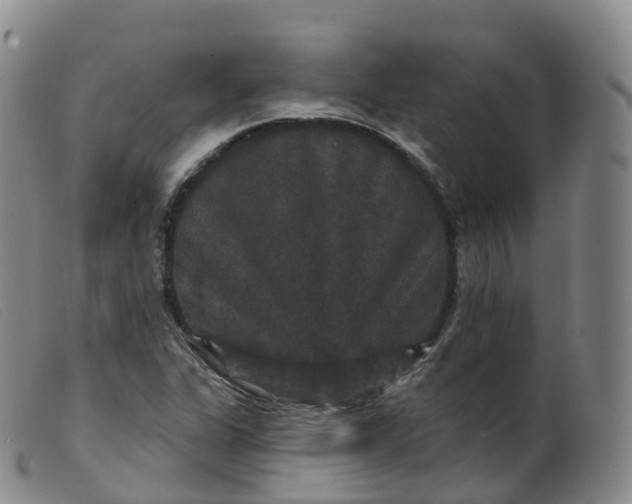 X0000099381311200805221756