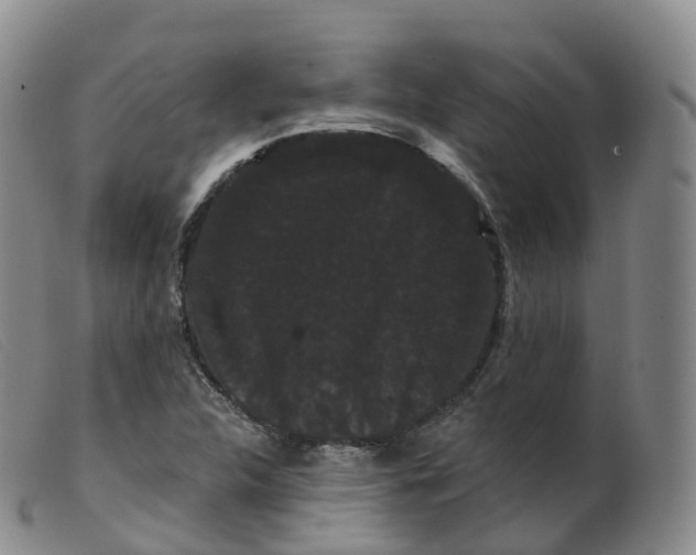 X0000099381312200805221756