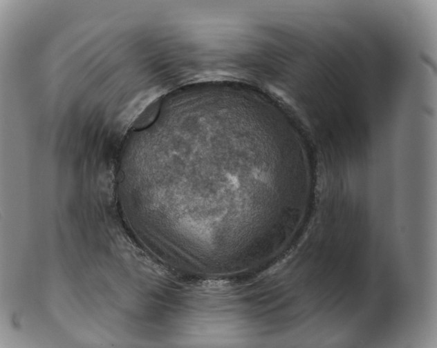 X0000099381313200805221756