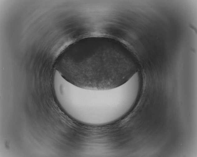 X0000099381314200805221756