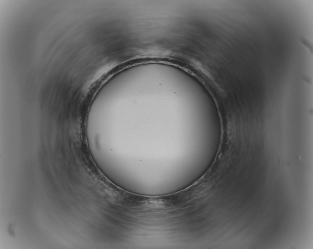 X0000099381315200805221756