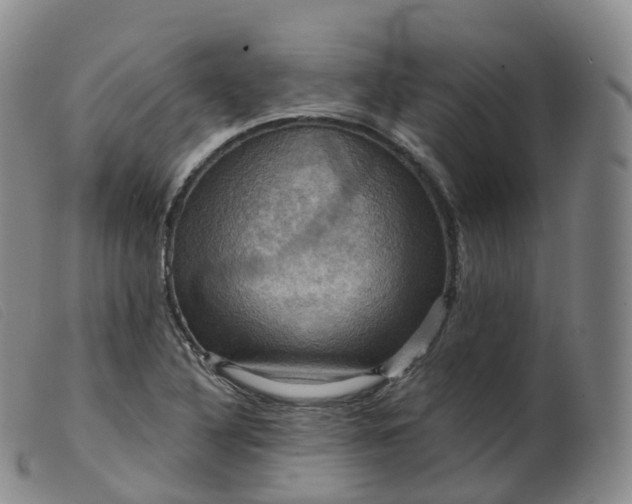 X0000099381316200805221756