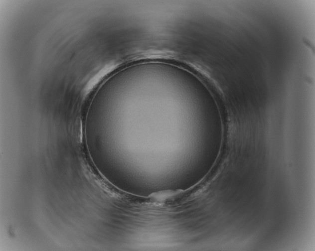 X0000099381317200805221756