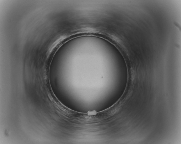 X0000099381318200805221756