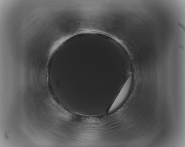 X0000099381319200805221756