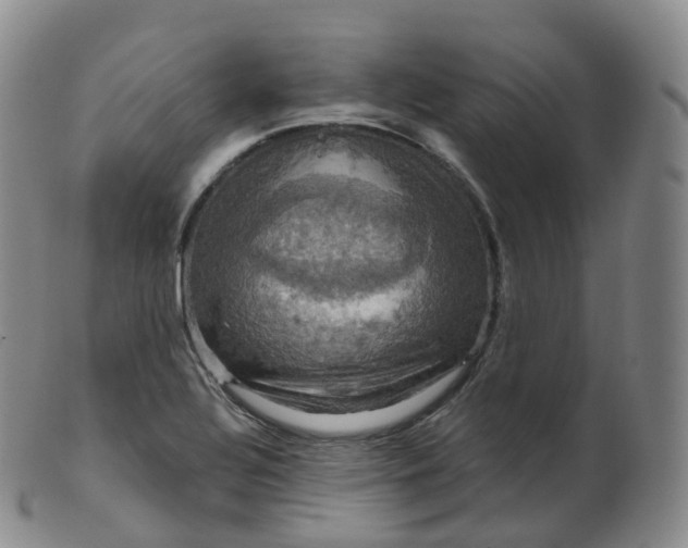 X0000099381320200805221756