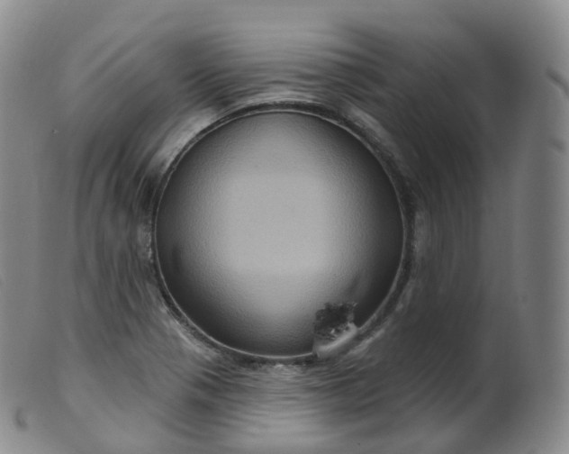 X0000099381321200805221756