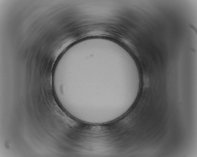 X0000099381322200805221756