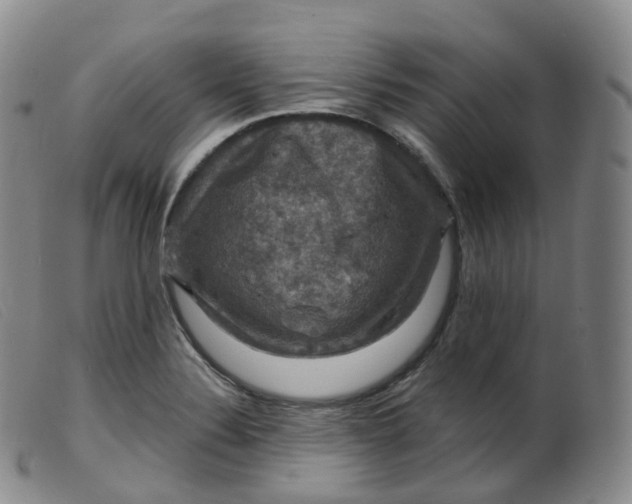 X0000099381324200805221756