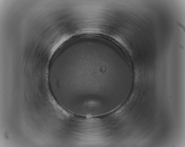 X0000099381325200805221756