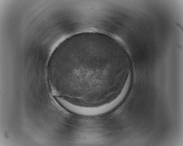 X0000099381326200805221756