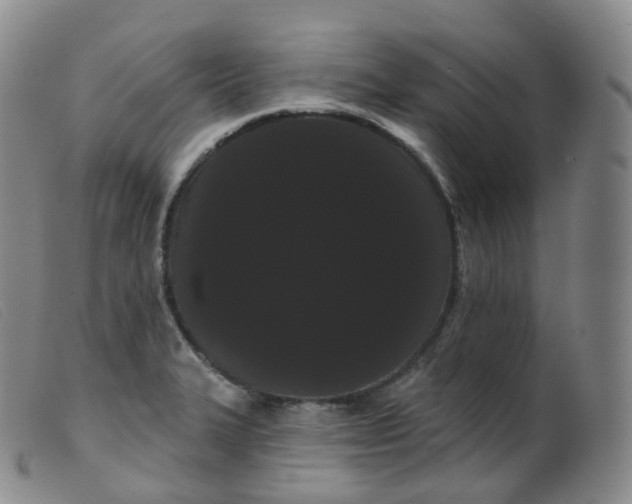 X0000099381327200805221756