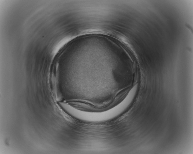 X0000099381328200805221756