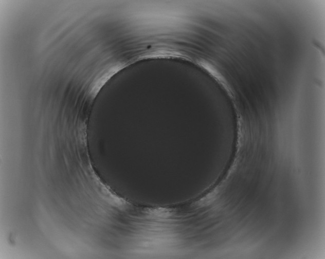 X0000099381329200805221756