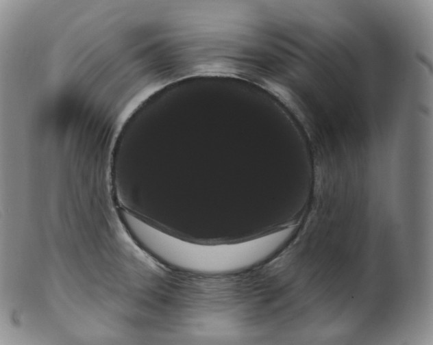 X0000099381331200805221756