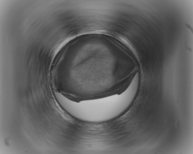 X0000099381332200805221756