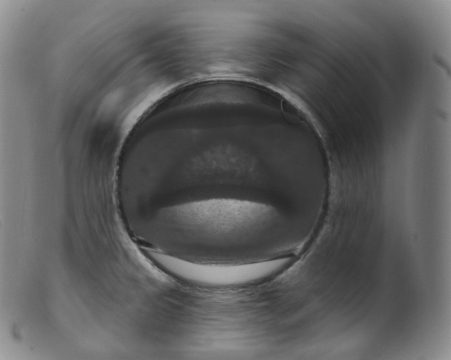 X0000099381333200805221756