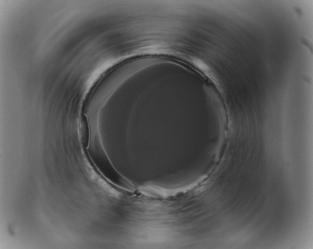 X0000099381334200805221757