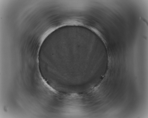 X0000099381335200805221757