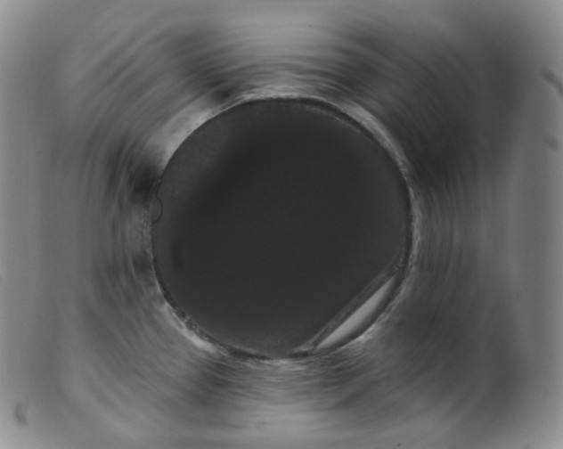 X0000099381337200805221757