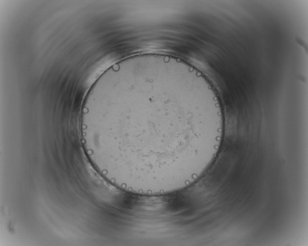 X0000099381338200805221757