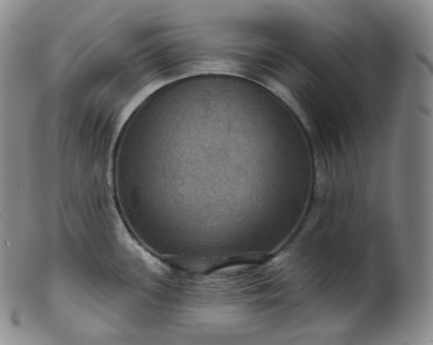 X0000099381339200805221757